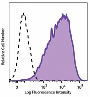 Purified anti-mouse Folate Receptor &beta; (FR-&beta;) Antibody