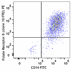 PE anti-mouse Folate Receptor &beta; (FR-&beta;) Antibody