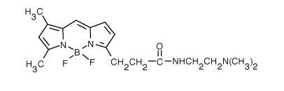 溶酶体绿色荧光探针(LysoTracker Green DND-26)