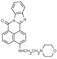 溶酶体绿色荧光探针(LysoSensor Green DND-189)