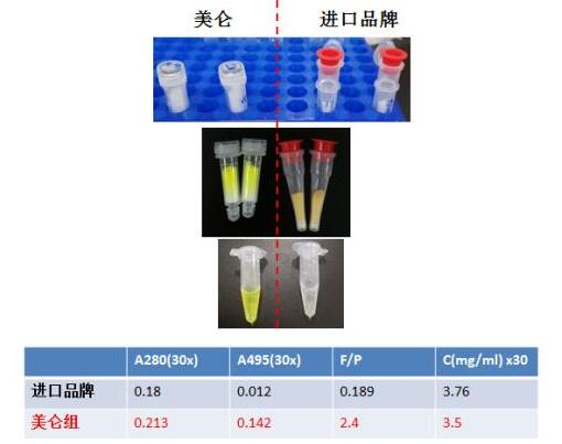 快速FITC 抗体(蛋白)标记试剂盒