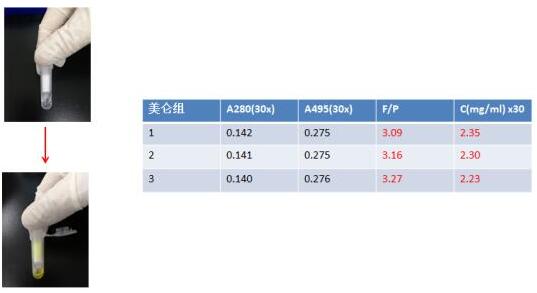 快速FITC 抗体(蛋白)标记试剂盒