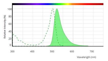 Alexa Fluor 488 Phalloidin