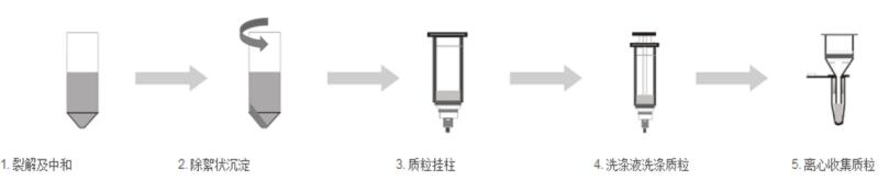 质粒小提试剂盒