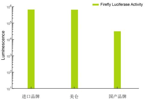 萤火虫萤光素酶报告基因检测试剂盒