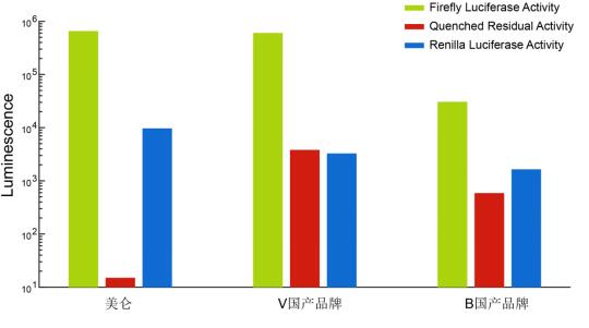 双萤光素酶报告基因检测试剂盒