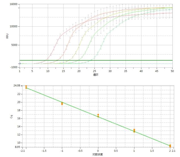 Taq DNA Polymerase (Mg2+ plus Buffer)