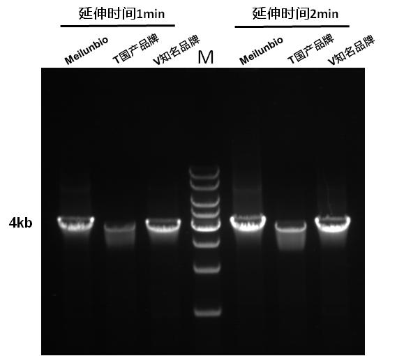 Quick Extend Hi-Fi DNA Polymerase 快速延伸高保真DNA聚合酶