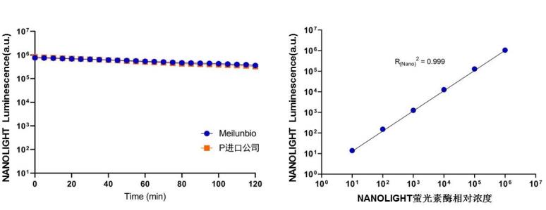 NANOLIGHT萤光素酶报告基因检测试剂盒