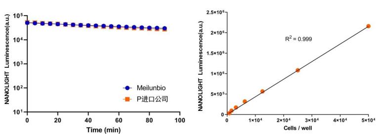 NANOLIGHT萤光素酶报告基因检测试剂盒