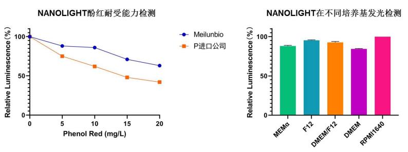 NANOLIGHT萤光素酶报告基因检测试剂盒