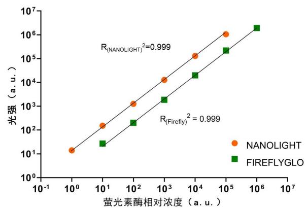 NANO&FIREFLYGLO双萤光素酶报告基因检测试剂盒