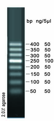 50bp DNA ladder marker(50～400bp)