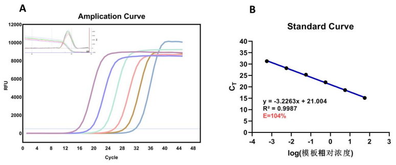 2X qPCR SYBR Green Master Mix(抗体法，No Rox)