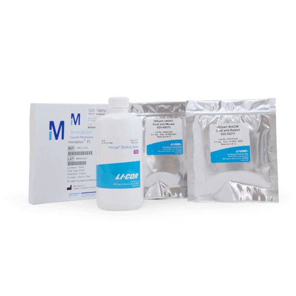 Western Blotting Kit VI RD (TBS/PVDF)