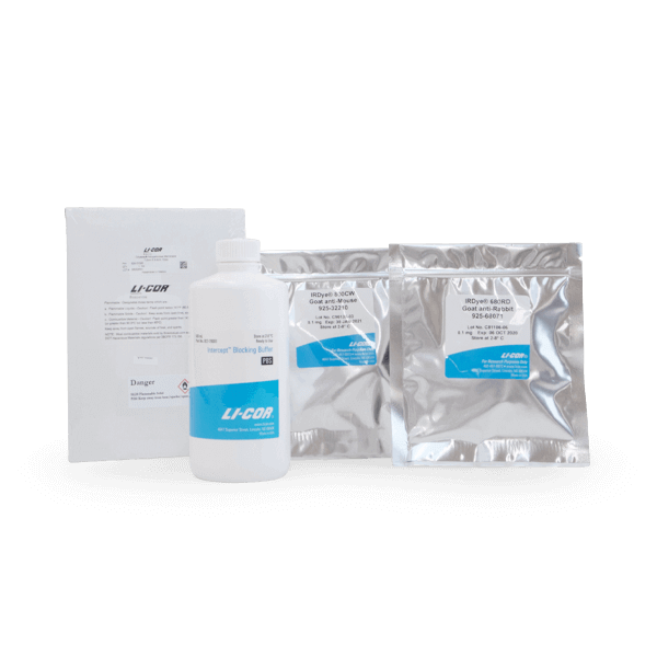 Western Blotting Kit III RD (PBS/NITRO)