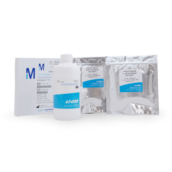 Western Blotting Kit II RD (PBS/PVDF)