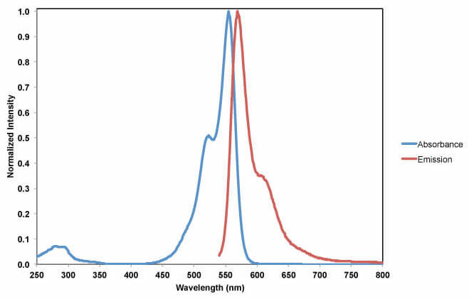 VRDye™ 549 Protein Labeling Kits