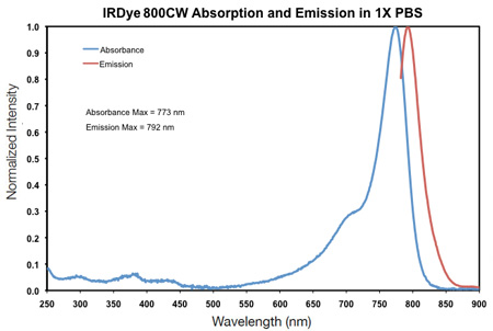 IRDye® 800CW NHS Ester