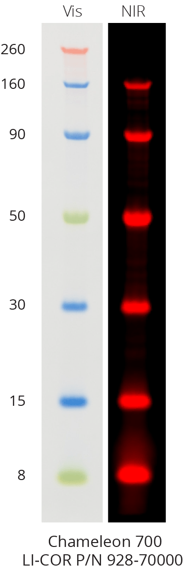 Chameleon® 700 Pre-stained  Protein Ladder