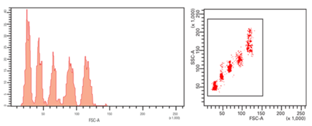 Bangslabs磁珠,bangslabs代理,bangslabs产品,大小估计-Size Estimation | BETHYL抗体金畔生物官网