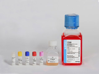 CBM™ Chondrocyte Growth Basal Medium