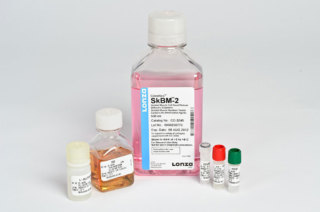 SKBM™- 2 Skeletal Muscle Cell Growth Basal Medium-2