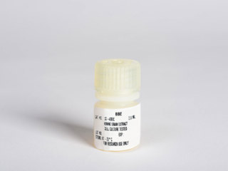 Bovine Brain Extract (BBE), 5 ml