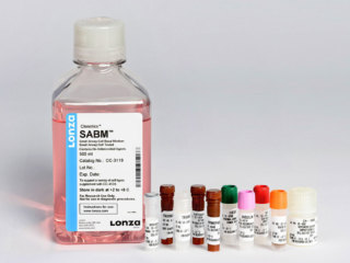 SAGM™ Small Airway Epithelial Cell Growth Medium SingleQuots™ Supplements and Growth Factors