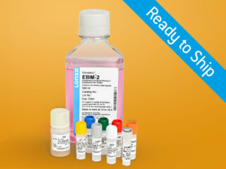 EGMTM-2 Endothelial SingleQuotsTM Kit