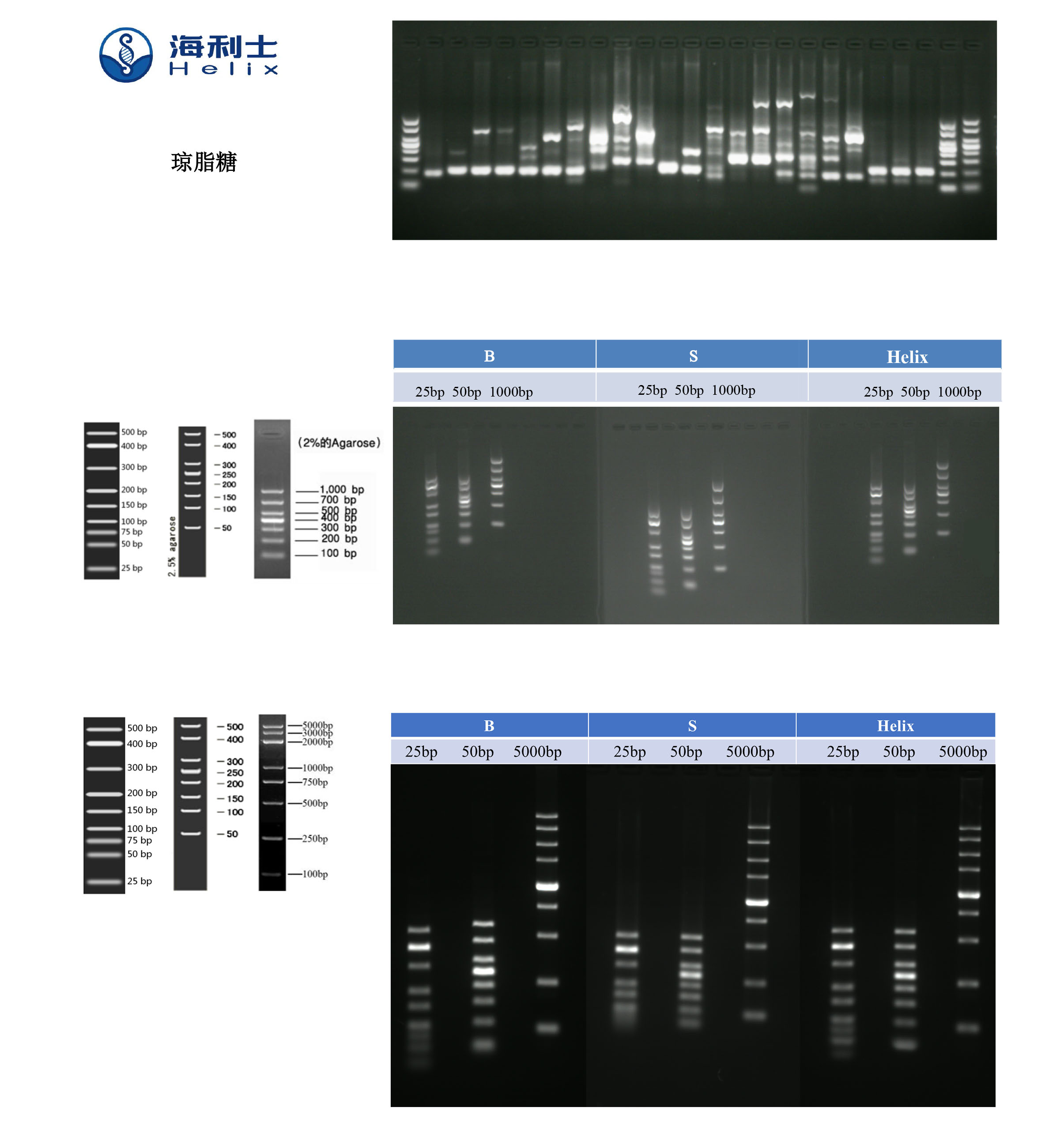 Agarose-High Tenacity 海利士琼脂糖