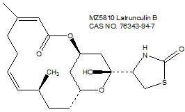 Latrunculin B 红海海绵素B（肌动蛋白聚合抑制剂）细胞骨架研究