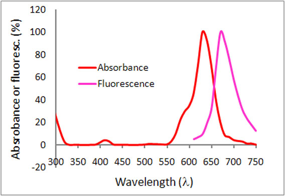 Acti-stain 670 phalloidin 鬼笔环肽红色