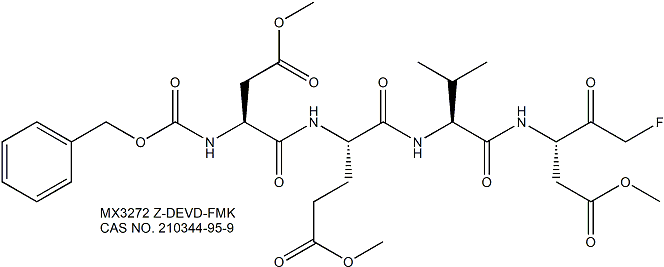 凋亡相关蛋白Caspase-3抑制剂