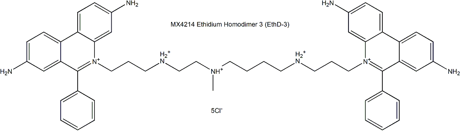 EthD-3 溴乙啡锭二聚体3