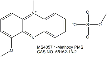 1-Methoxy PMS 电子传递介质