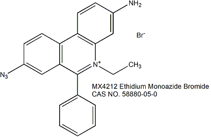 叠氮溴化乙锭EMA