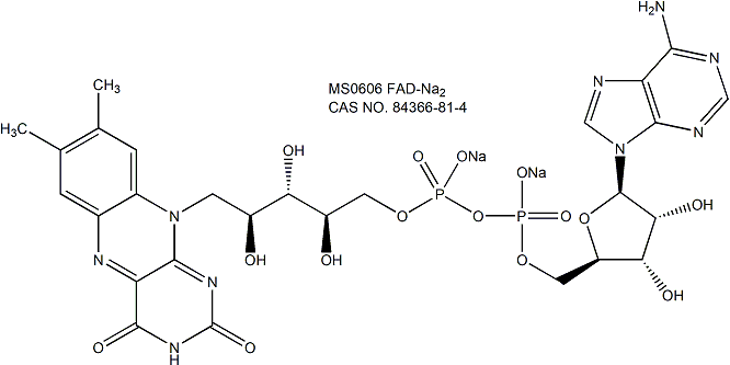 FAD 黄素腺嘌呤二核苷酸二钠盐