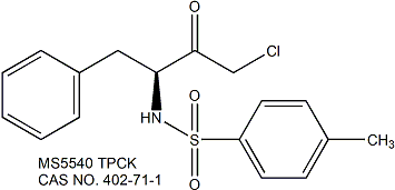 TPCK 糜蛋白酶抑制剂