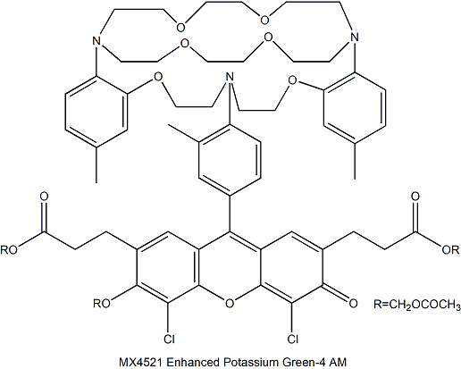 EPG-4 AM 绿色钾离子探针