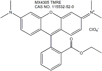 TMRE 罗丹明线粒体探针