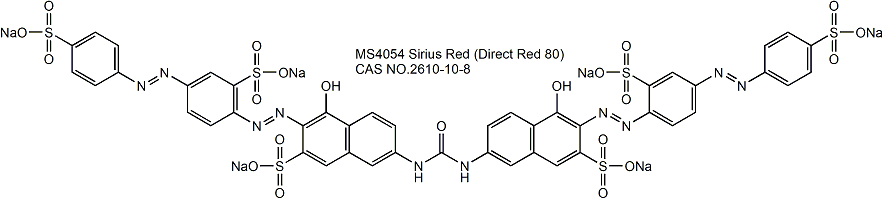 Sirius Red 天狼星红（直接红80）染色剂