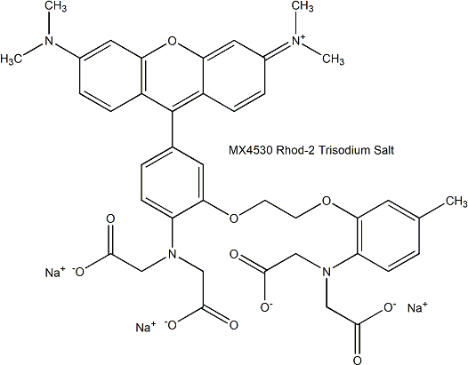 Rhod-2 Trisodium Salt 钙离子荧光探针