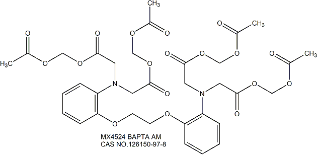 BAPTA AM 钙螯合剂