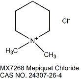 Mepiquat Chloride 缩节胺 植物细胞培养