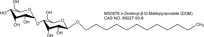 DDM 十二烷基-β-D-麦芽糖苷 膜蛋白去垢剂