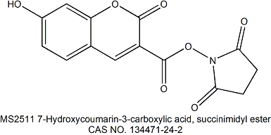 7-羟基香逗素-3-羧酸琥珀酰亚胺酯