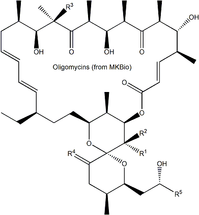 Oligomycin D 寡霉素D ATPase抑制剂