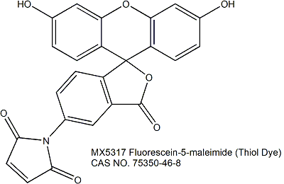 荧光素-5-马来酰亚胺（巯基染料）