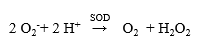 SOD 超氧化物歧化酶（来源于牛红细胞）